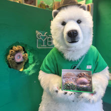 画像をギャラリービューアに読み込む, 【全国配送】ANAKUMA ドーナツセット