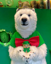 画像をギャラリービューアに読み込む, ANAKUMA BOTTLE〜3rd ANNIVERSARY〜