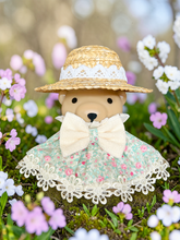 画像をギャラリービューアに読み込む, ANAKUMA BOTTLE〜Spring Day 〜