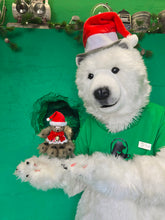 画像をギャラリービューアに読み込む, ANAKUMA BOTTLE〜THE SANTA BEAR〜
